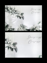 -保定金沙芝柏婚礼策划