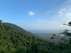 -三亚亚龙湾人间天堂鸟巢度假村