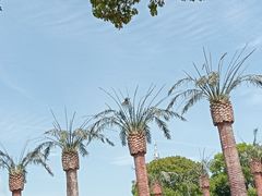 -上海月湖雕塑公园