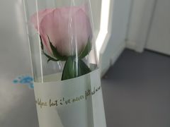 -FEI FEI FLOWER鲜花店·气球派对·宝宝宴布置(虹口德必运动Loft店)
