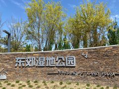 -东郊湿地公园