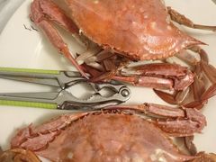 -宾朋海鲜特色美食餐厅·纯手工鲅鱼水饺(兴海路店)