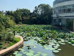 -上海市龙华烈士陵园