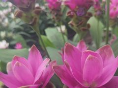 -长春农业博览园