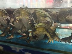 -乐在集市海鲜大排档(平潭店)