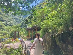 -龙湾潭国家森林公园