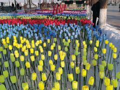 -人民防洪胜利纪念塔