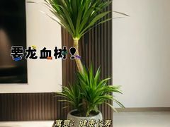 -京东家装(昆明总店)