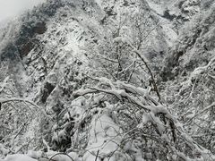 -九峰山
