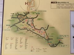 -大九湖