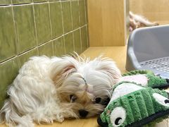 -首开·龙湖成都西宸天街