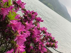 -严子陵钓台(富春江小三峡)