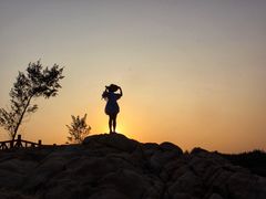 -东寨港红树林旅游区