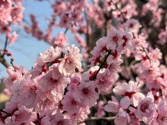 -新江湾城公园