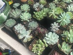 -汉庭(天津成林道地铁站店)