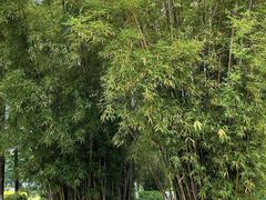 -厦门园林博览苑