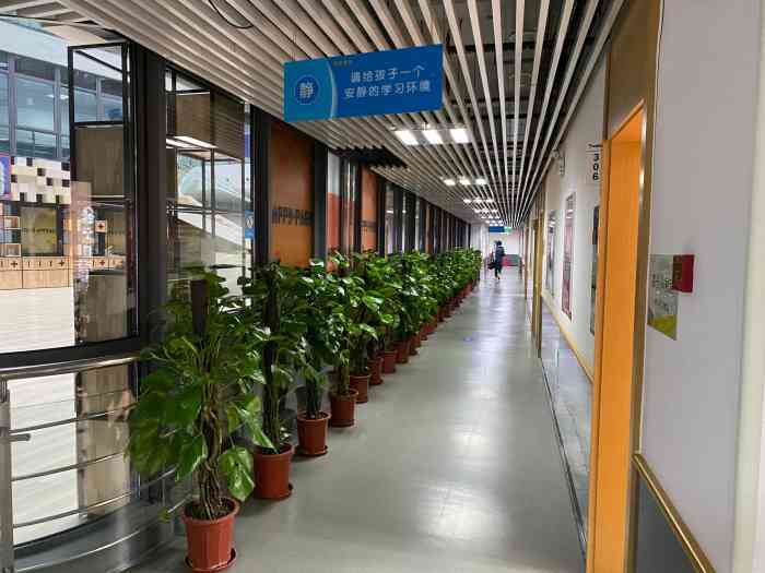 学而思培优(柳州路校区)-"从一年级到五年级,每周报到,风雨无阻各.