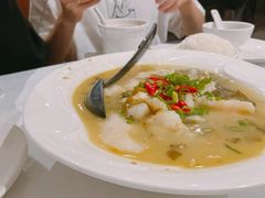 -峨嵋一派