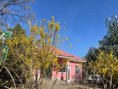 -滨河世纪广场公园