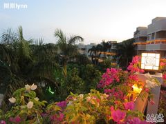 -三亚亚龙湾凯莱仙人掌度假酒店