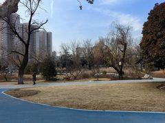 -渭滨公园