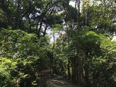 -西湖风景区十里琅珰-五云山