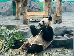 -秦皇岛野生动物园