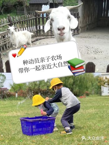 种动员亲子农场带你亲近大自然