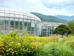 -北京植物园-展览温室
