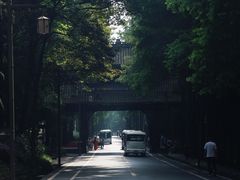 -青城山