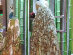 -雀舞云南菜(天津天河城购物中心店)