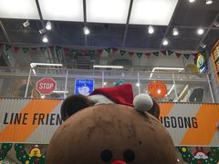 -line friends(明洞旗舰店)
