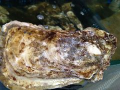 -蓝珊甄选海鲜自助·火锅大排档(近阿那亚店)