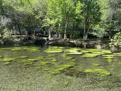 -水磨沟公园