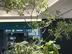 -金春禧(世茂国际广场店)
