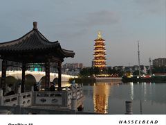 -运河游船(武林门码头)