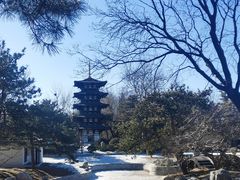 -北京世界公园
