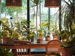 -自由生长植物工作室(深港花卉中心店)