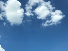 -刘胖子家常菜·蹄花焖藕(中央花园店)