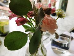 -蝶舍·MAISON PAPILLON