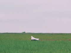 -盐城丹顶鹤湿地生态旅游区