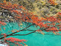 -叠溪松坪沟景区