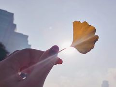 -重庆市江北嘴中央商务区中央公园