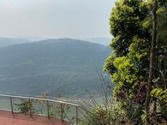 -铁山坪森林公园