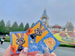 -上海迪士尼度假区