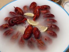 -杨氏青龙虾·羊蝎子(珠江路店)