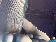-烟台海昌鲸鲨海洋公园