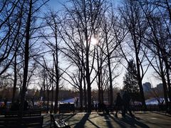 景点-陶然亭公园