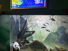 -常州海昌海洋探索馆
