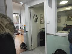 -乐派堂宠物医院·猫友好· 心脏科(东街店)